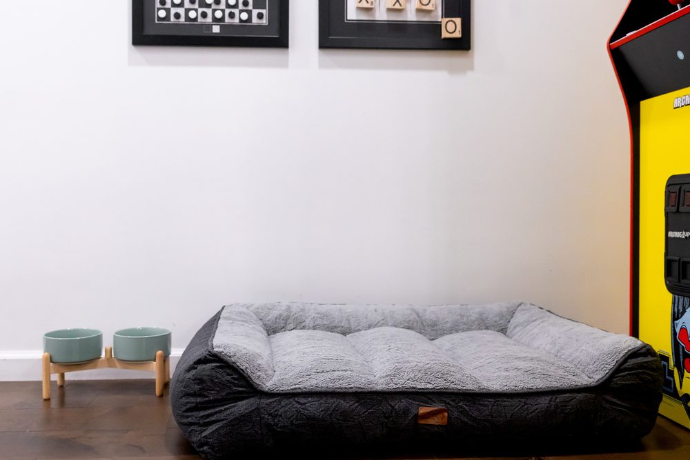 Dog bed and water bowls ready for up to two dogs