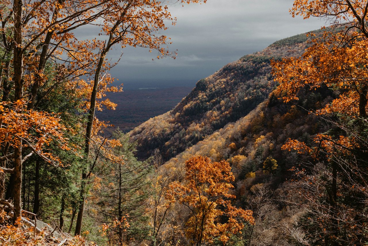 Peak autumn foliage across a Catskills mountain valley in New York